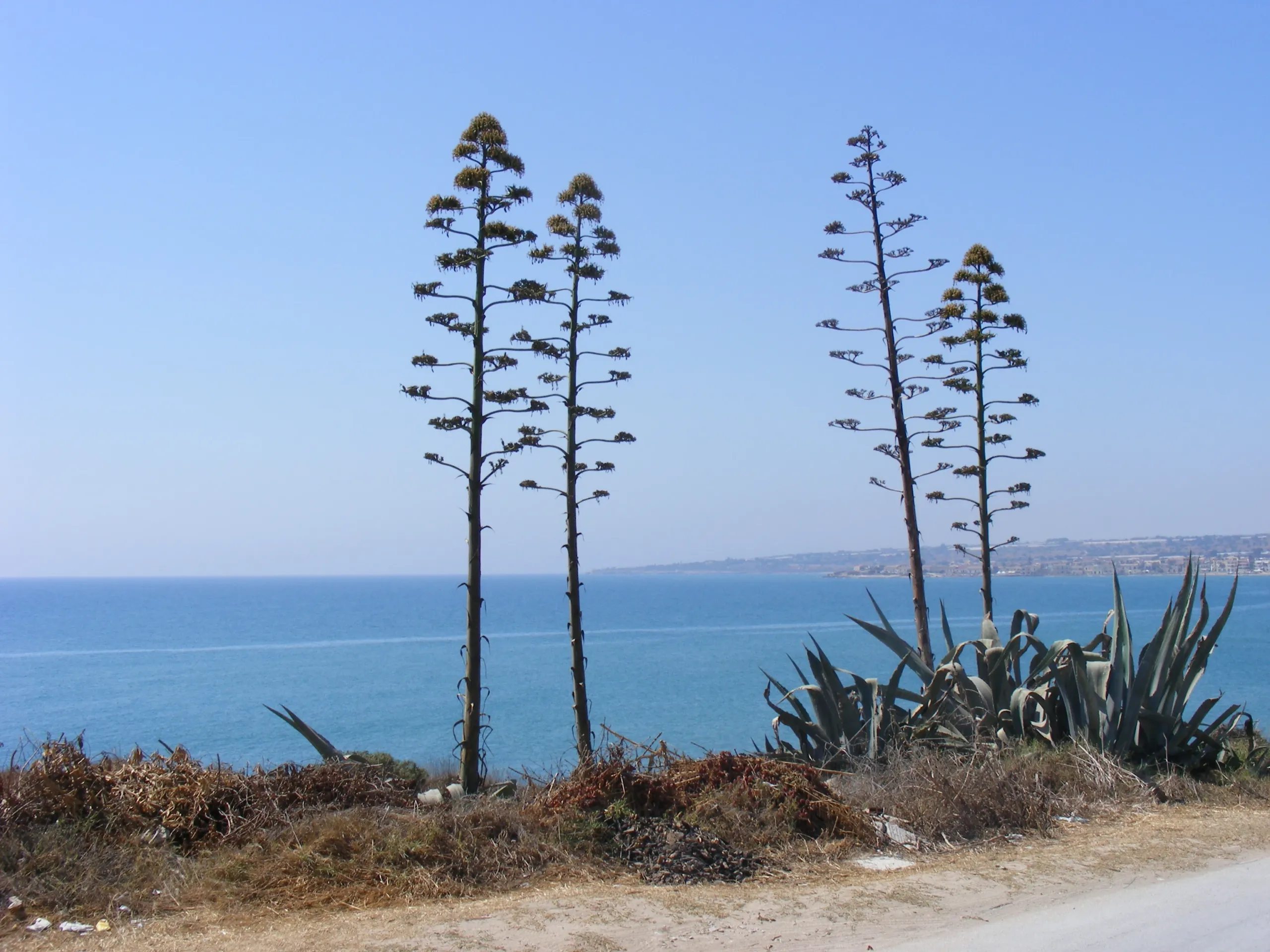 A Donnalucata RG nuovo appartamento al mare