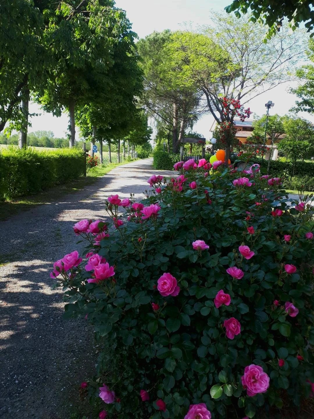 Agriturismo Venezia - Opportunità nella campagna veneziana (trattabile